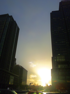 東京駅前のビル夕景