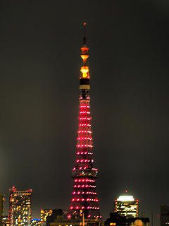 東京タワーのダイヤモンドヴェール