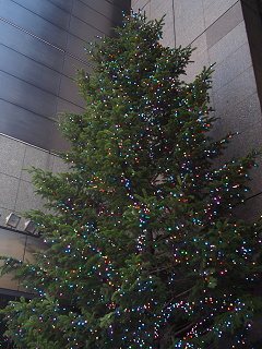 2013年ミキモトのクリスマスツリー