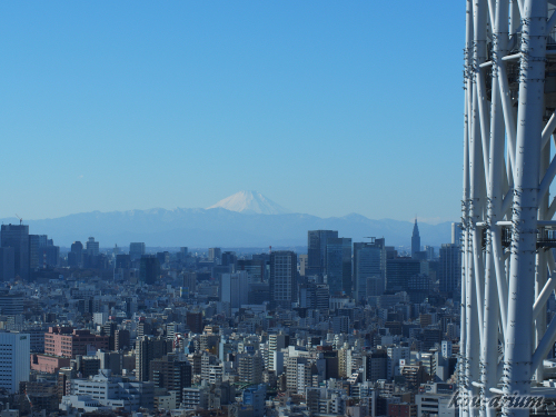 東京スカイツリー イーストタワーからの眺め