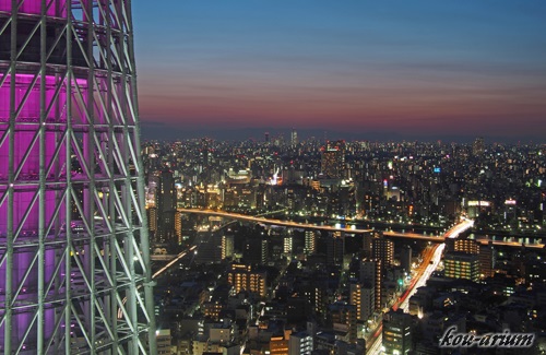 東京スカイツリー イーストタワーからの夕景の眺め