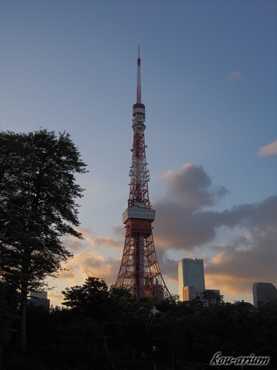 日没頃の東京タワー