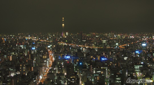 マンダリンオリエンタル東京センスからの眺め