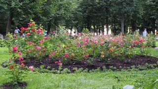 トロイツェ・セルギエフ大修道院内の花々