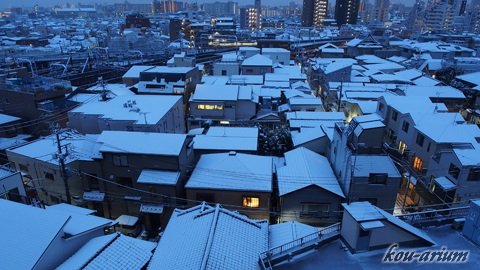 降雪した東京