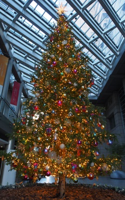 新宿パークタワーのクリスマスツリー2016