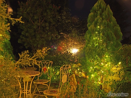 花の森クラリスの夜の庭