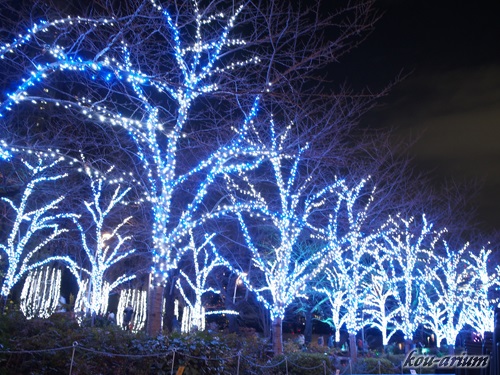 東京ミッドタウンのクリスマスイルミネーション
