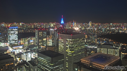 東京都庁舎展望室からの夜の眺め