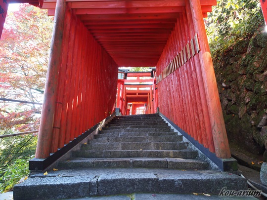 太皷谷稲成神社の参道