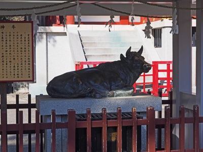 亀戸天神社の神牛