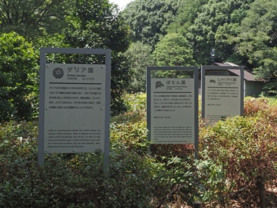 東京都立神代植物公園のダリア園