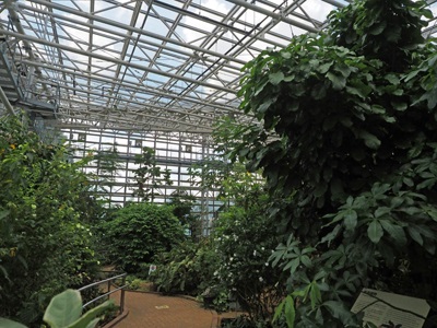 東京都立神代植物公園の大温室