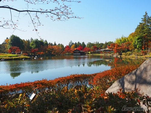 昭和記念公園内の日本庭園の池