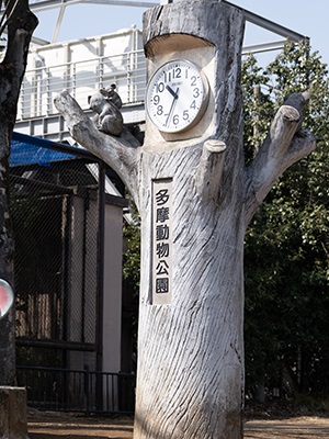 多摩動物公園の時計台