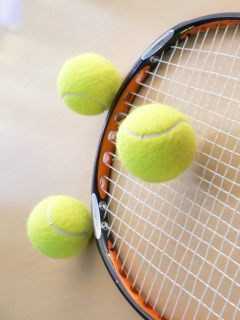 テニスラケットとテニスボール(硬球)